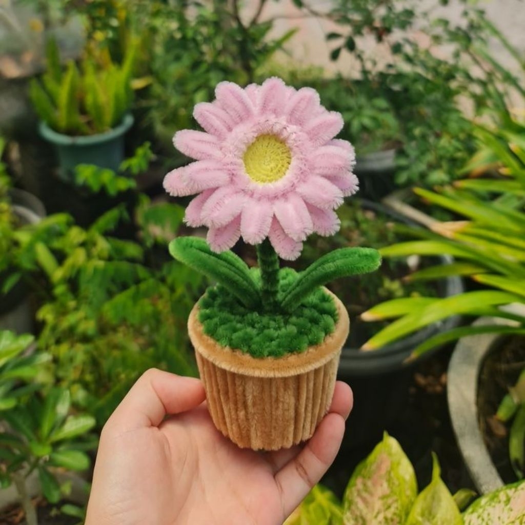 MINI GERBERA FLOWER POT/MINI GERBERA POT WIRE FEATHER/FLOWER POT