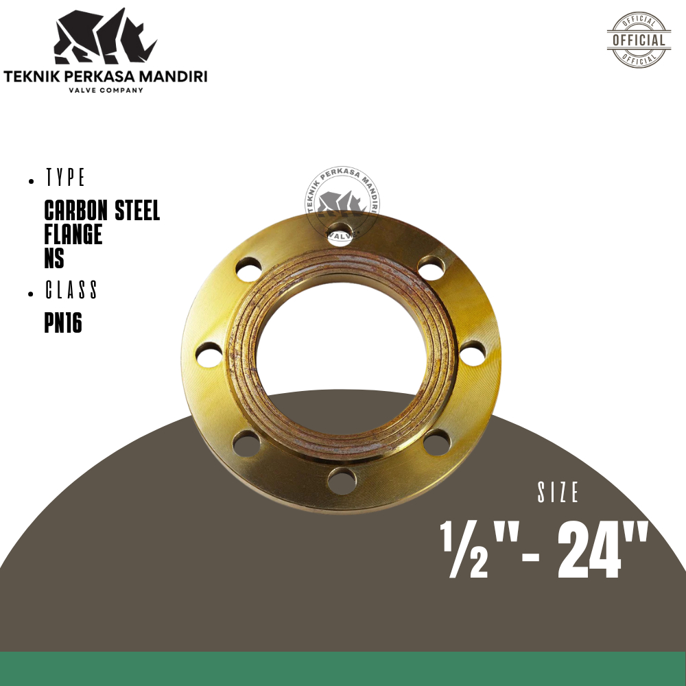 IRON FLANGE PN16 NS 1/2" - 1" เหล็กคาร์บอน RF