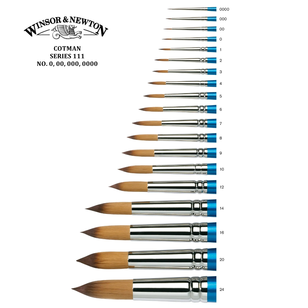Winsor & Newton Cotman Series 111 - แปรงซีรีส์ Winsor / Cotman