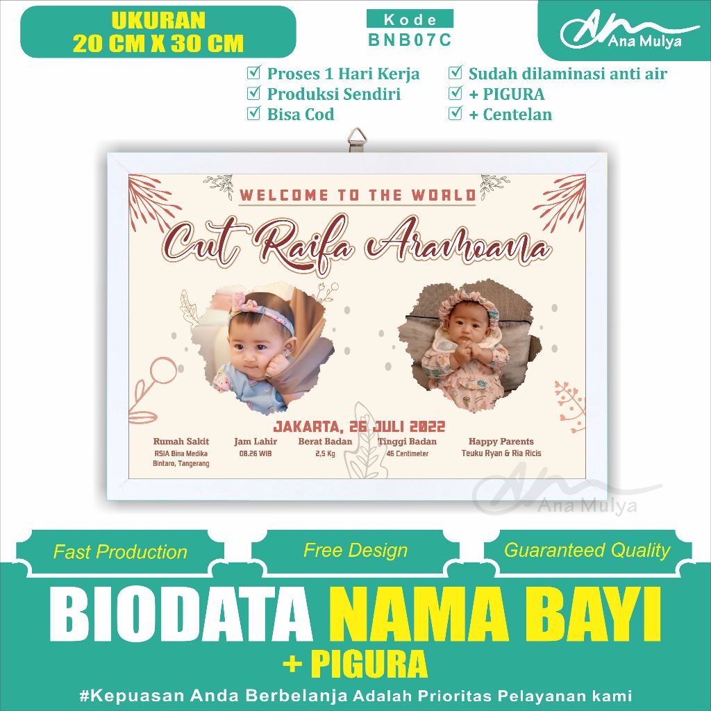 BABY BIRTH BIODATA + PICTURE SIZE 10RS 20 CM X 30 CM ANA MULYA BNB07