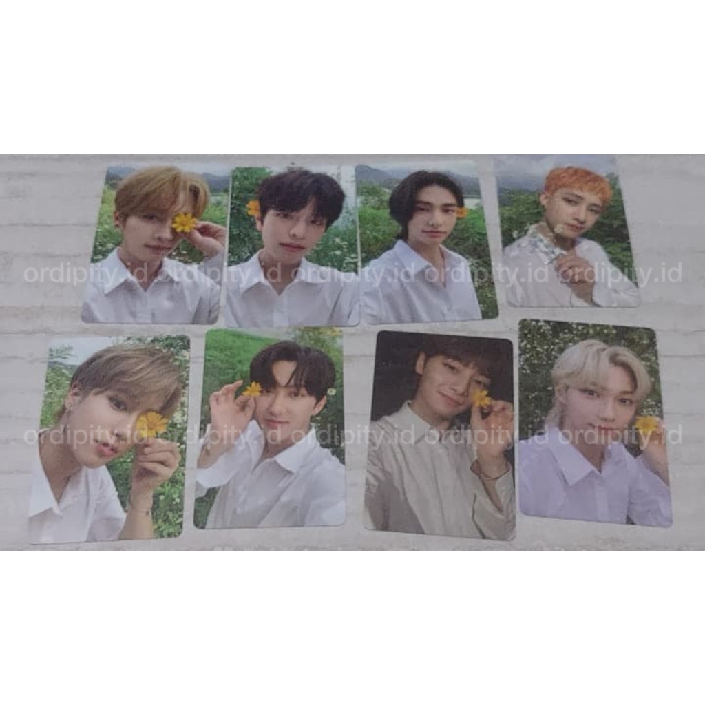 NOEASY PHOTOCARD ALBUM CRRAY KIDS FLOWER BANGCHHAN CHANGIN LEE KNOW SEUNGMIN FELIX JISUNG IN JEONGIN