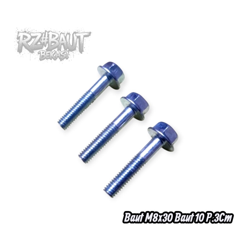 BOLT 10 LENGTH 3CM BOLT M6X30