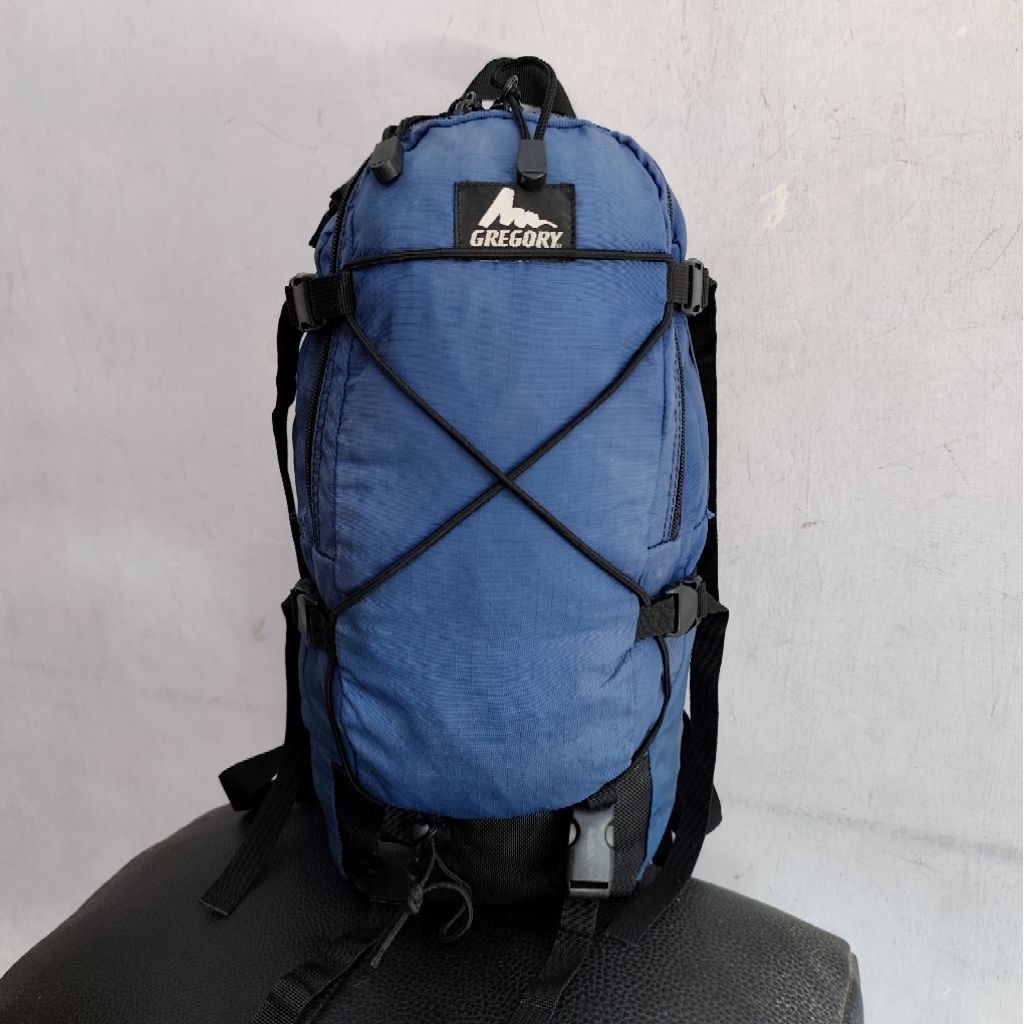 Gregory Daypack / Outdoor Backpack Gregory blue