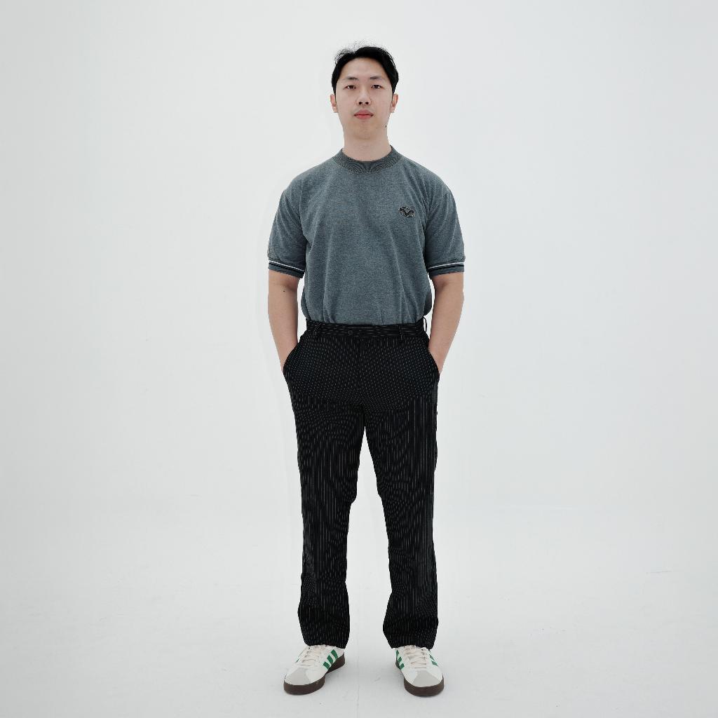 VANADIUM V-Grey REGULAR FIT + REGULAR+ARM FIT TEE