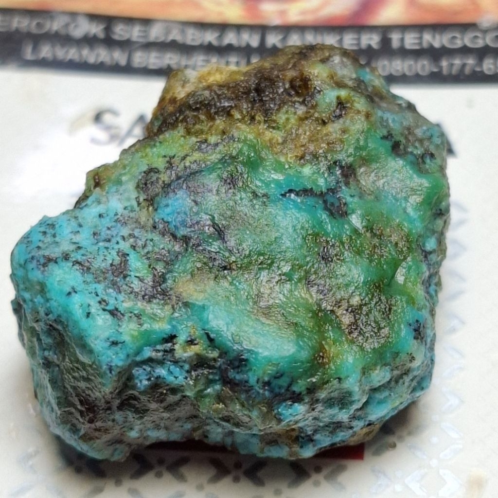 BACAN DOKO ติ่มซําธรรมชาติ 34x25x15