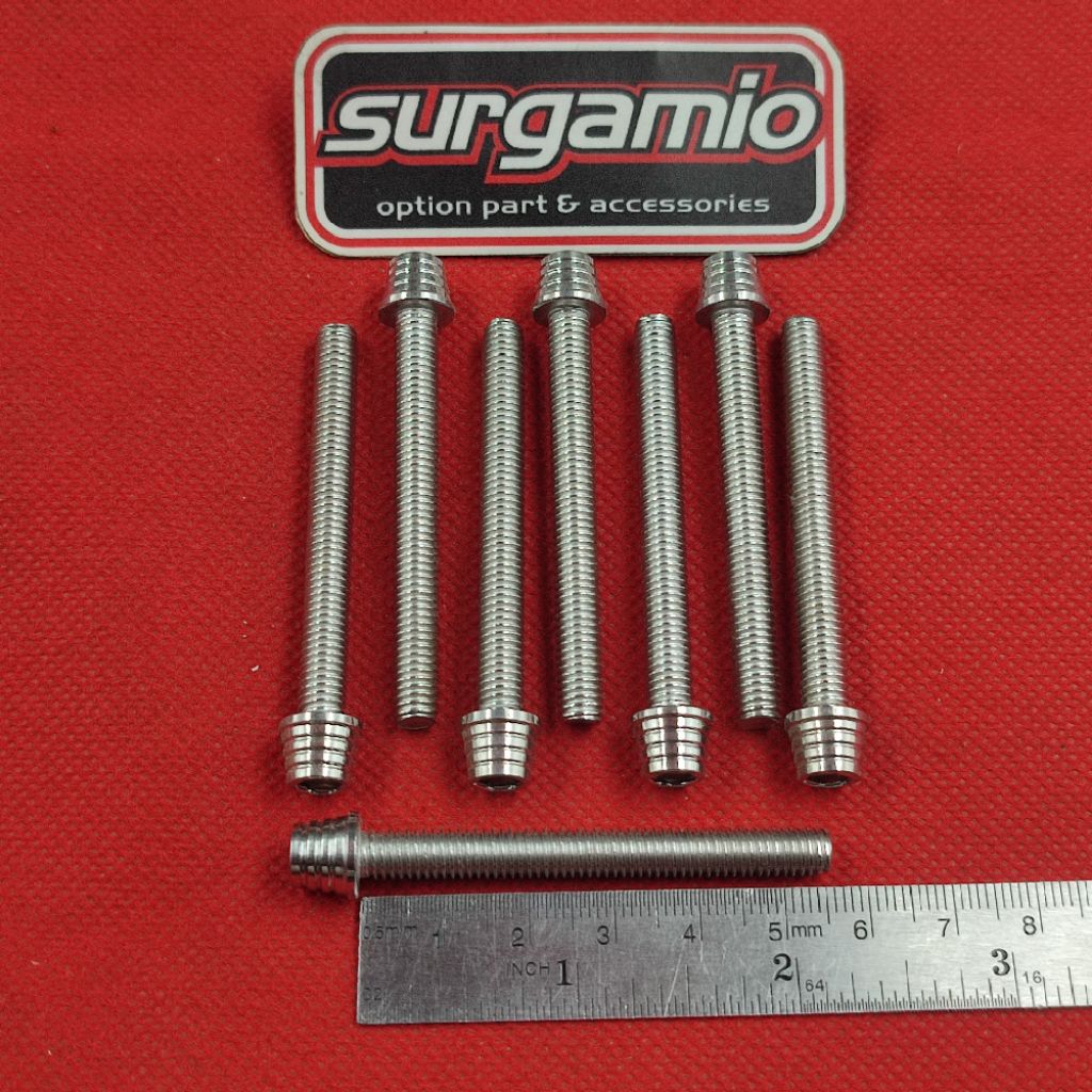 Probolt สกรูสแตนเลส Bolt 6x55 เกลียว 10 ยาว 5.5 ซม. heng thailand
