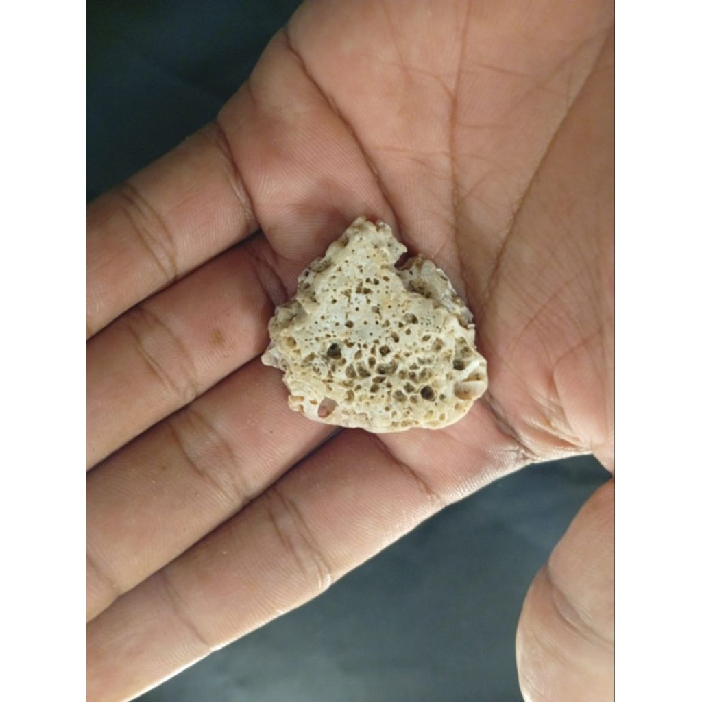 Antikan ผลการประชุมประจําปี A68