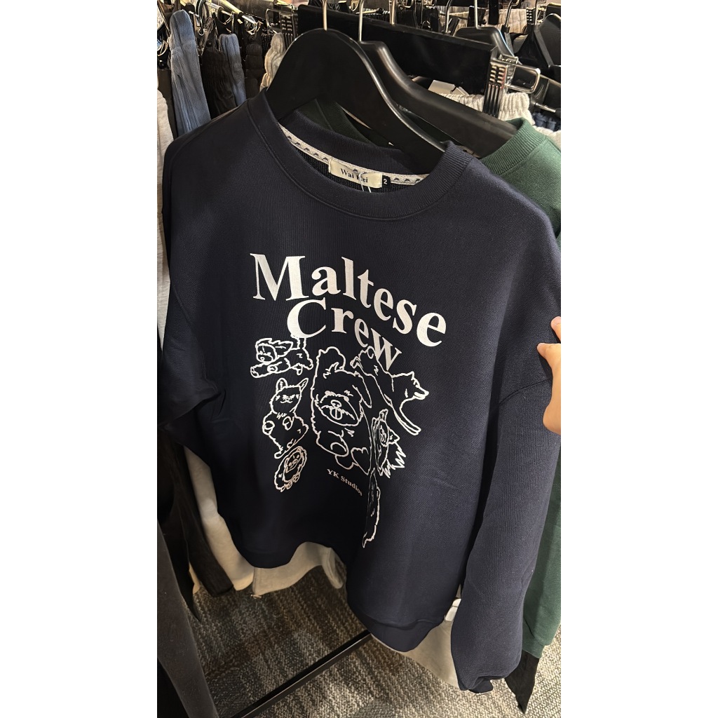 ALAND SOFT**********