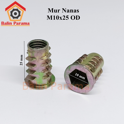ถั่วสับปะรด M10x25 OD