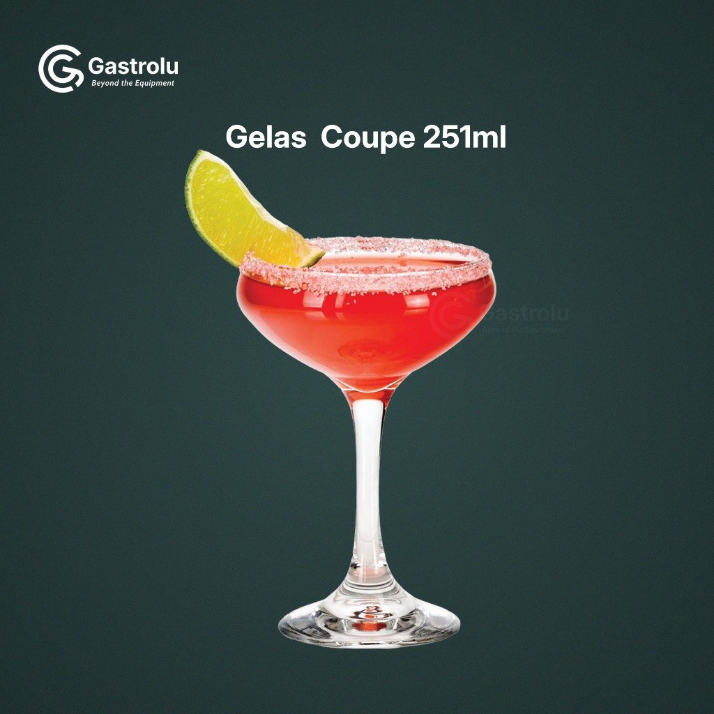 Coupe Glass 251ml – แก้วพรีเมี่ยมสําหรับค็อกเทลและบาร์ 6 ชิ้น