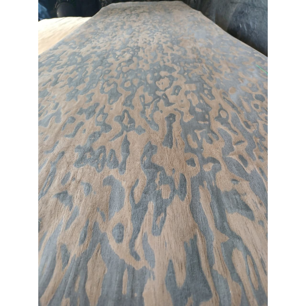 Veneerwood Recon Walnut Burl