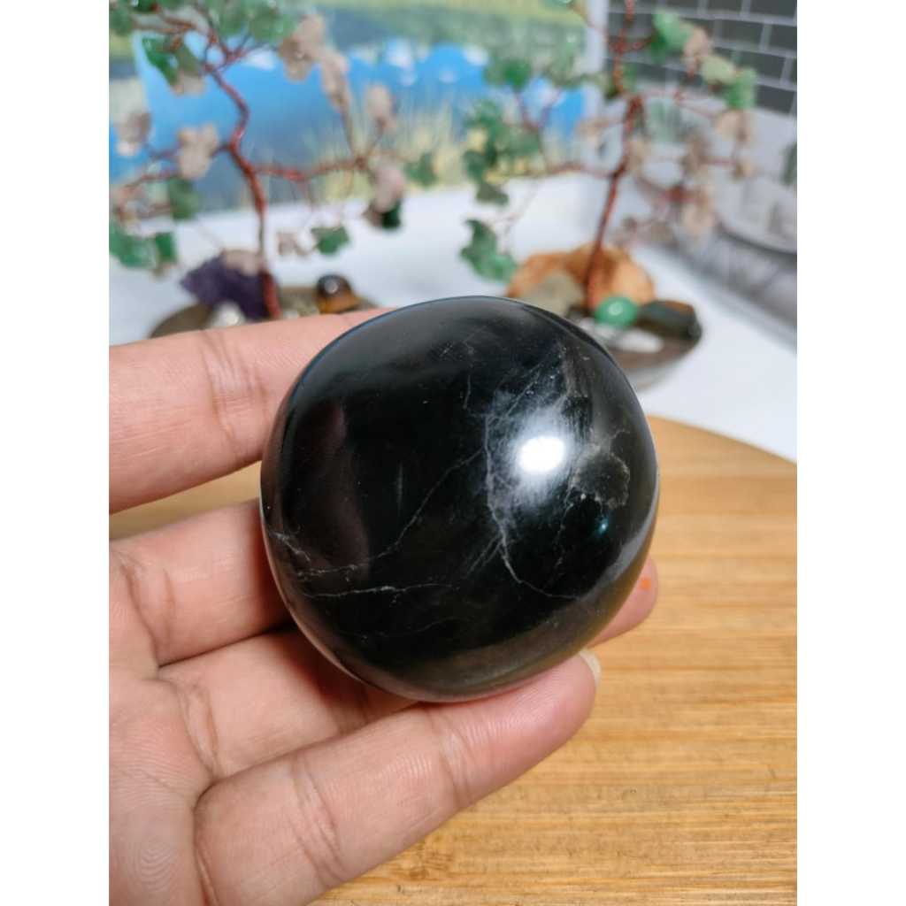 หินปาล์ม Natural Black Tourmaline (15)