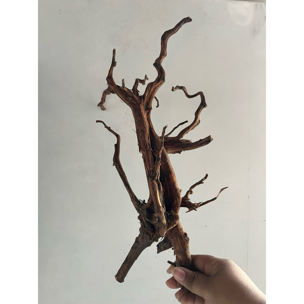 สั่งซื้อโดยพี่ azkar