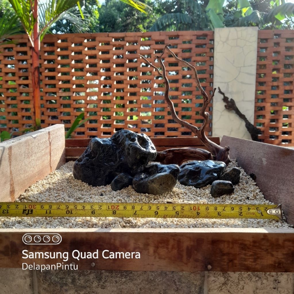 Hakkai และ Driftwood Stone สําหรับตู้ปลา 35 ซม. สไตล์ iwagumi