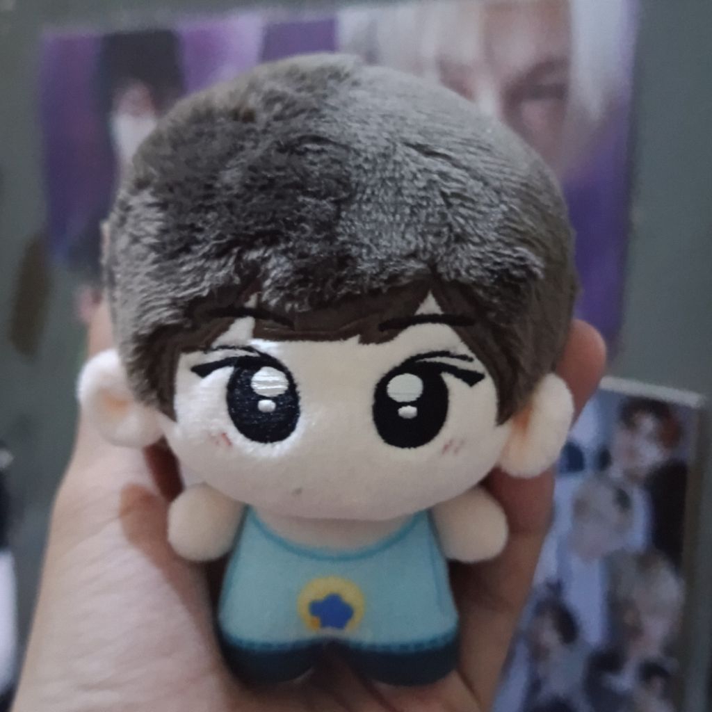 ตุ๊กตา ENHYPEN 10CM*