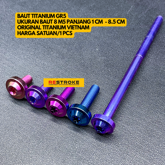 8 M5 TITANIUM GR5 BIG HEAD BOLT 1cm - 8.5cm LENGTH ORIGINAL TITANIUM VIETAM
