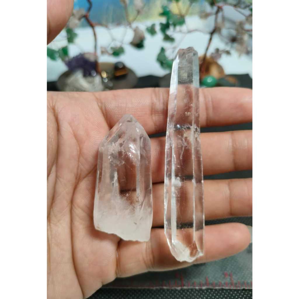 Natural Pointer Lemurian Seed Quartz Brazil 45 กรัม (9)