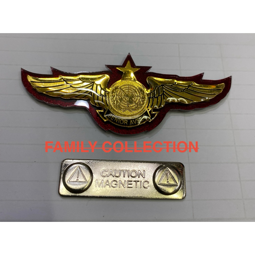 AVSEC SENIOR WING PIN