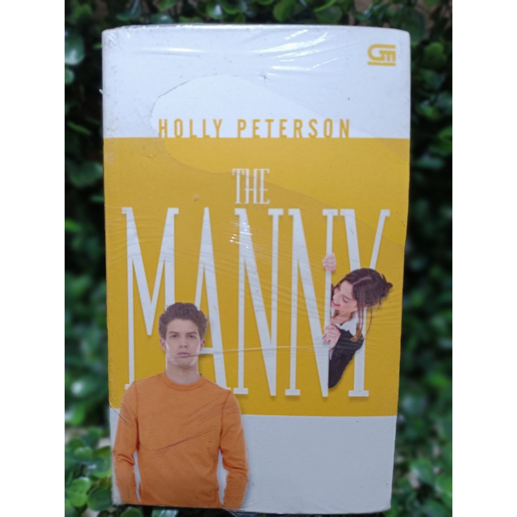 The Manny Novel - Holly Peterson