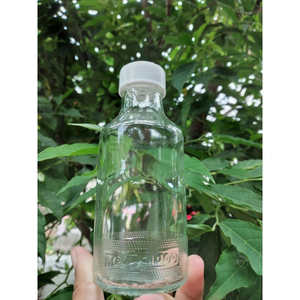 UC1000 120มล ขวดแก้ว