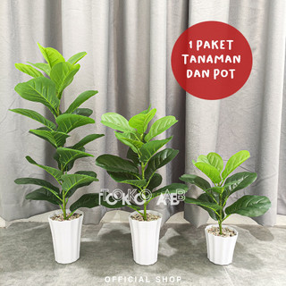 RB6103 RANGKAIAN TANAMAN POHON KETAPANG DAUN BESAR 1 CABANG POT PLASTIK DEKORASI HIASAN RUANG TAMU DEKORASI SUDUT RUANGAN RUMAH KANTOR CAFE STUDIO TANAMAN ARTIFICIAL TANAMAN HIAS PLASTIK