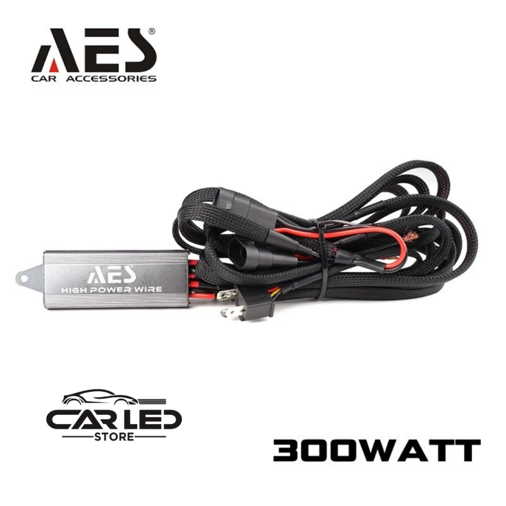 คุณภาพสูงระดับพรีเมียม AES 300 WATT & 600 WATT RELAY CABLE SET