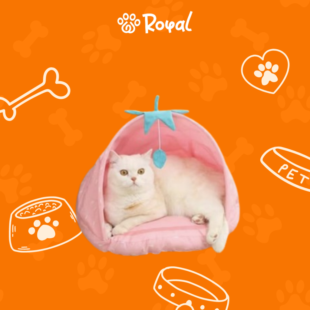 TTD 5 - CAT BED*****