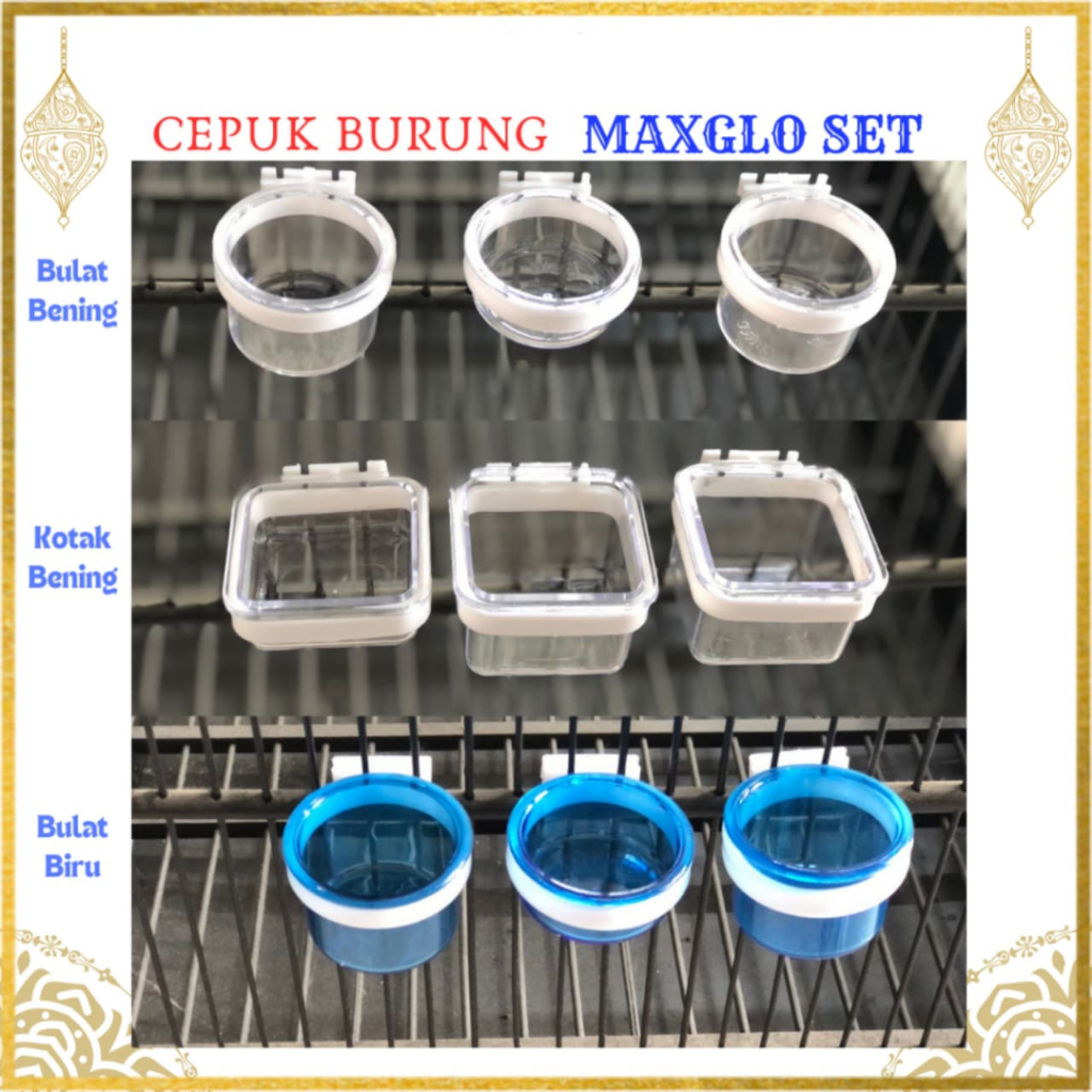 Maxglo Cup มีเครื่องป้อนนก 3 ชิ้น, ภาชนะดื่มนก, วัสดุกันกระแทก