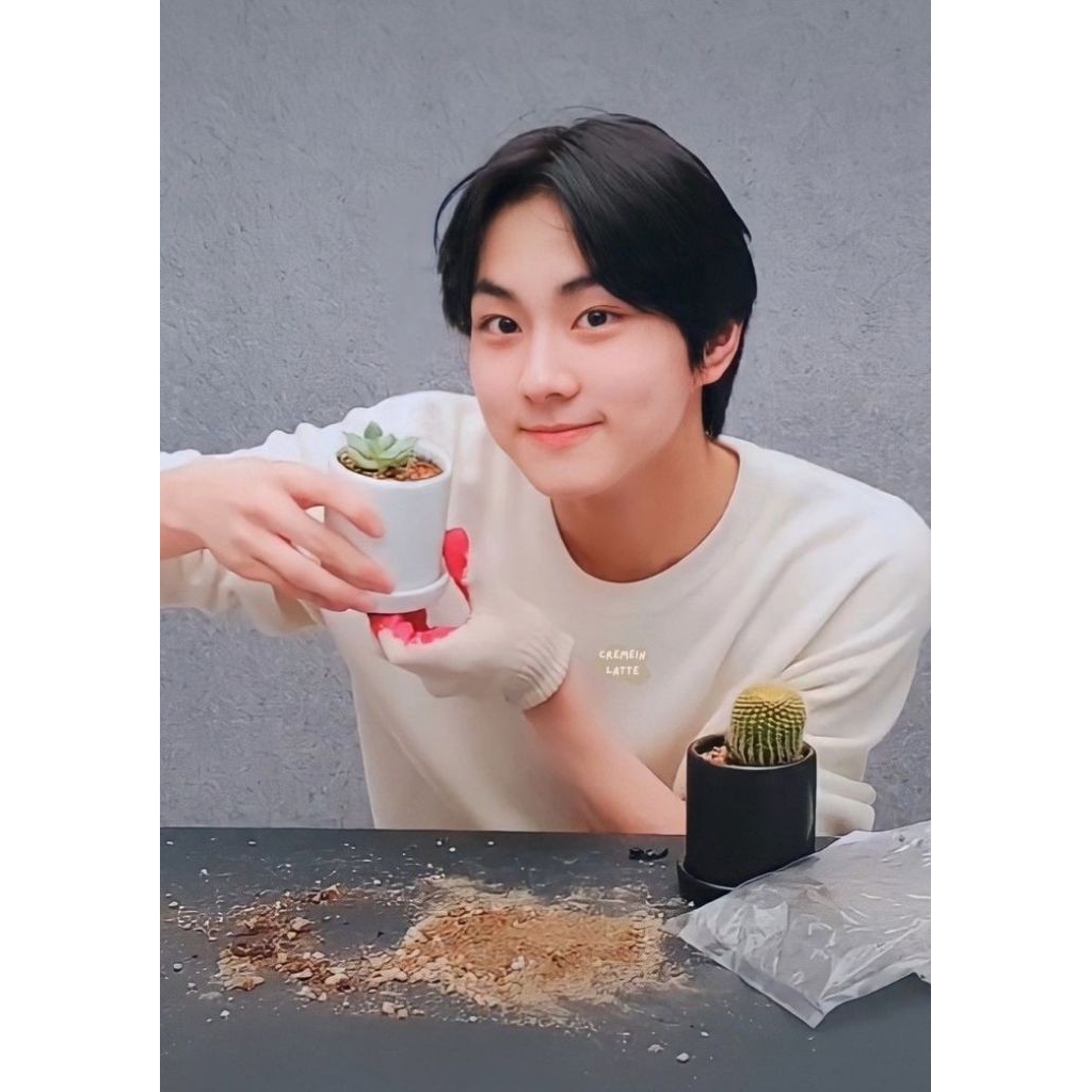 ของขวัญพิเศษ JUJU***