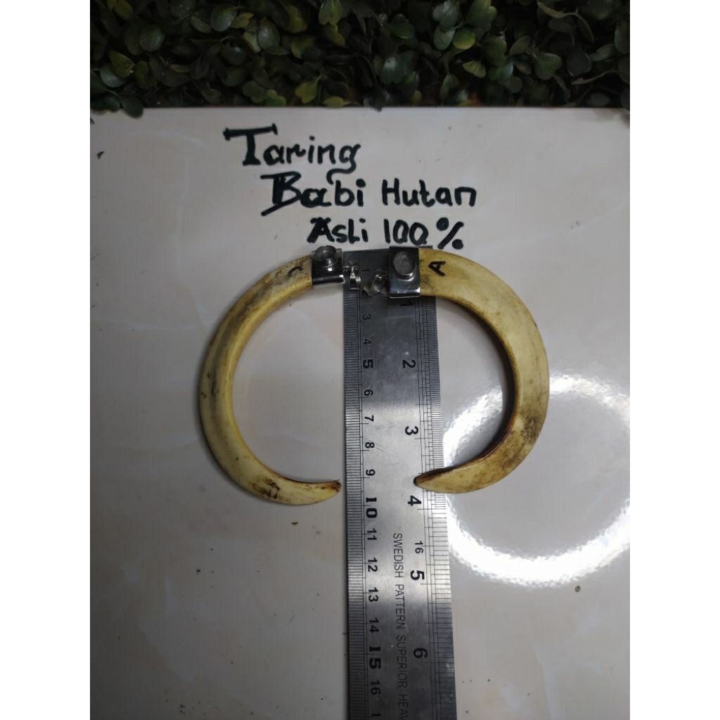 สร้อยคอจี้ t@rbi พิเศษสไตล์วินเทจ