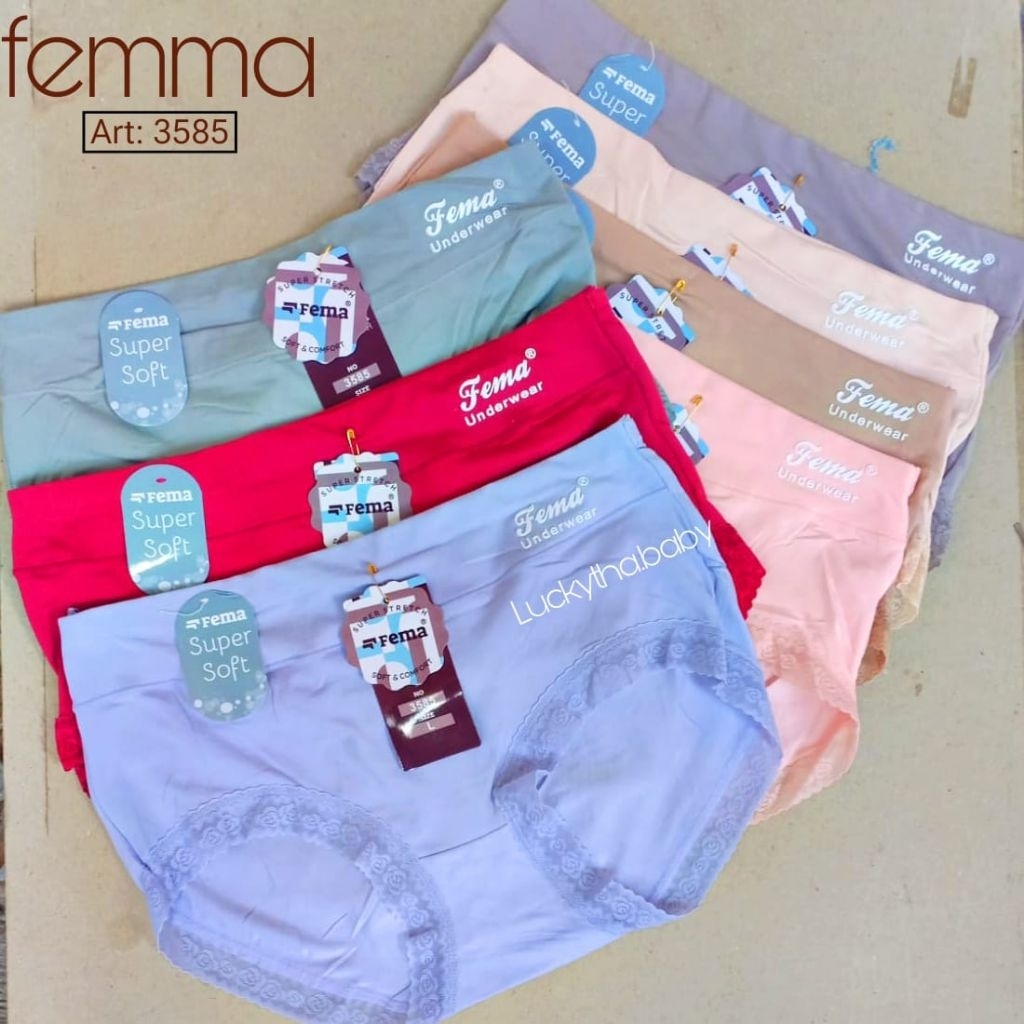 12.6 ชิ้น Fema 3585 กางเกงชั้นใน/Fema ผู้หญิง cd/Fema กางเกงชั้นในสตรีผู้ใหญ่ 3585