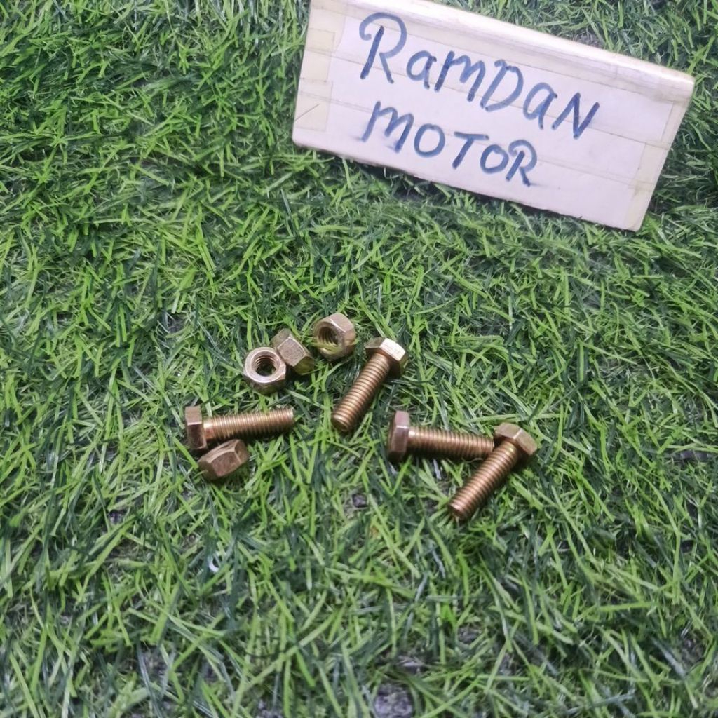 NUMBER PLATE NUMBER PLATE BOLT 10 (M6) BMK