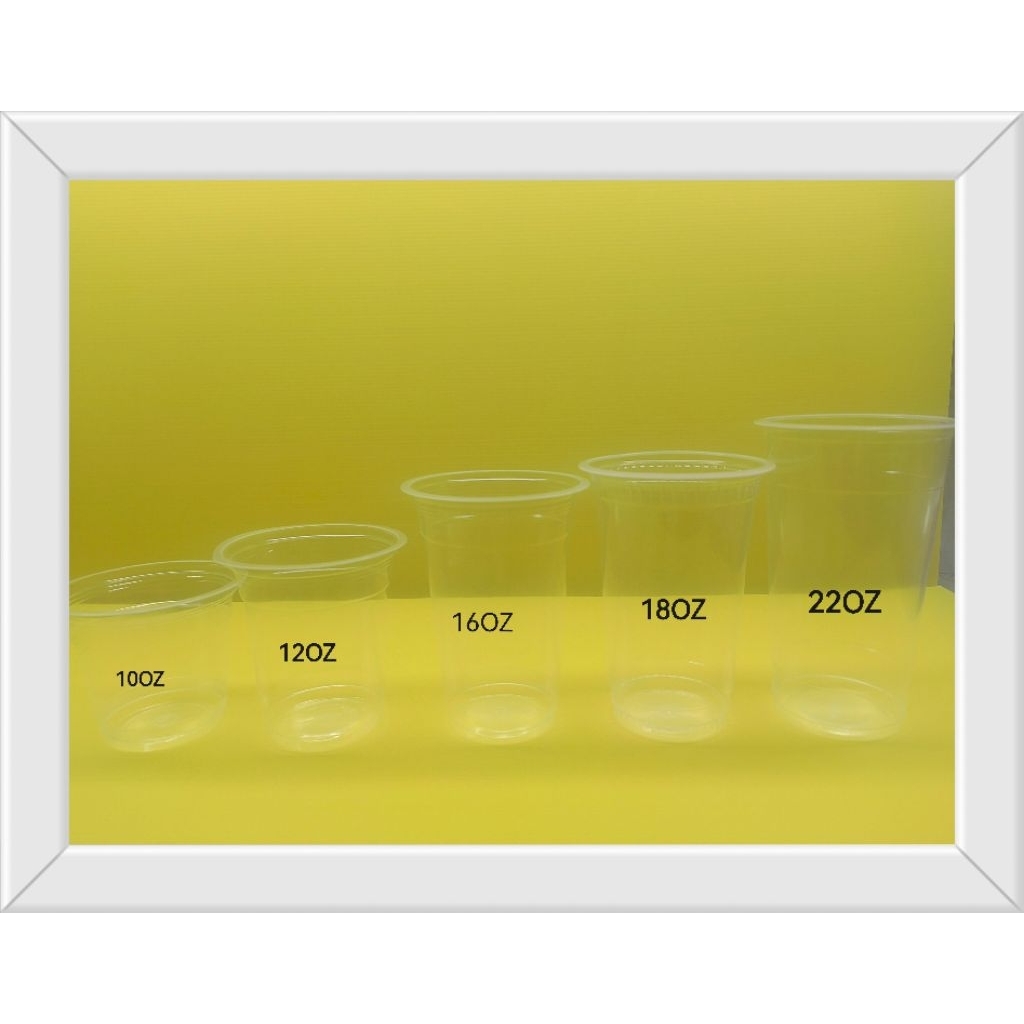 TTEN FLAT CUP 10oz/12oz/14oz/16oz [50 ชิ้น]