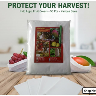Pembungkus Buah Anti Hama lalat Buah Jamur Dan Burung ukuran  S M L XL XXL (Isi 50 Pcs)