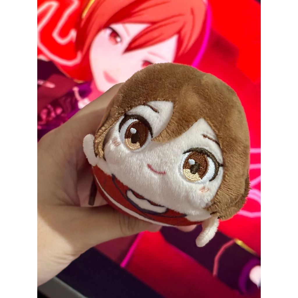 โครงการ VOCALOID SEKAI PJSK PROSEEKA MEIKO NUOBERI PLUSH FUWA NUIGURUMI