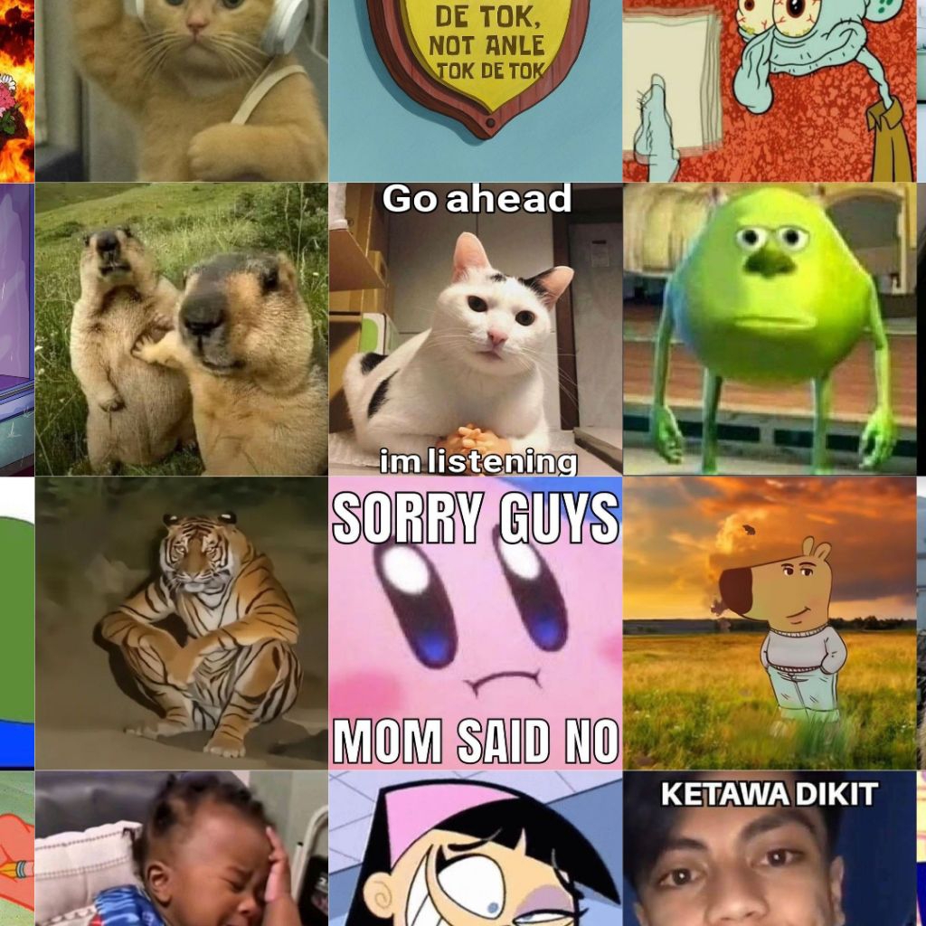 MEME STICKER (10 ชิ้น)