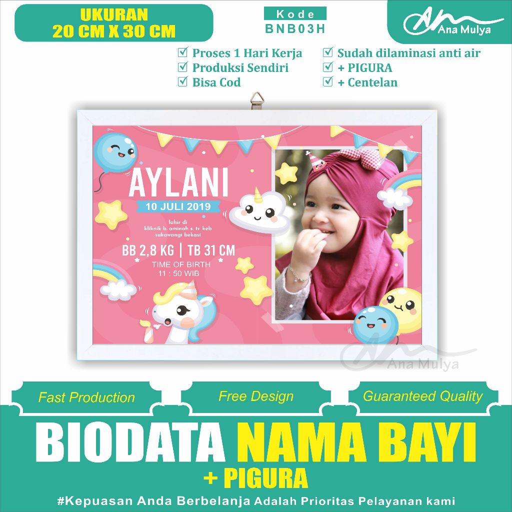 BABY BIRTH BIODATA + PICTURE SIZE 10RS 20 CM X 30 CM ANA MULYA BNB03