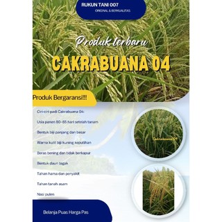 Padi Cakrabuana 04 Terbaru Kemasan 5 Kg