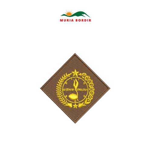 Scout School Logo Emblem เตียงปัก Bet สําหรับเด็กผู้ชายที่ไม่มีการบาดเจ็บ ขนาด 5 x 5 ซม.