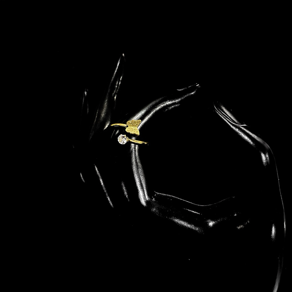 Paseris - แหวนไทเทเนียมผู้หญิง Kuina