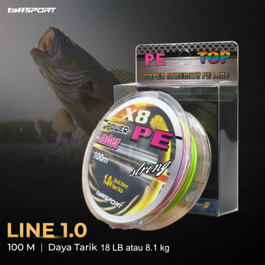สายตกปลาถัก PE 100M 1.0 - X8