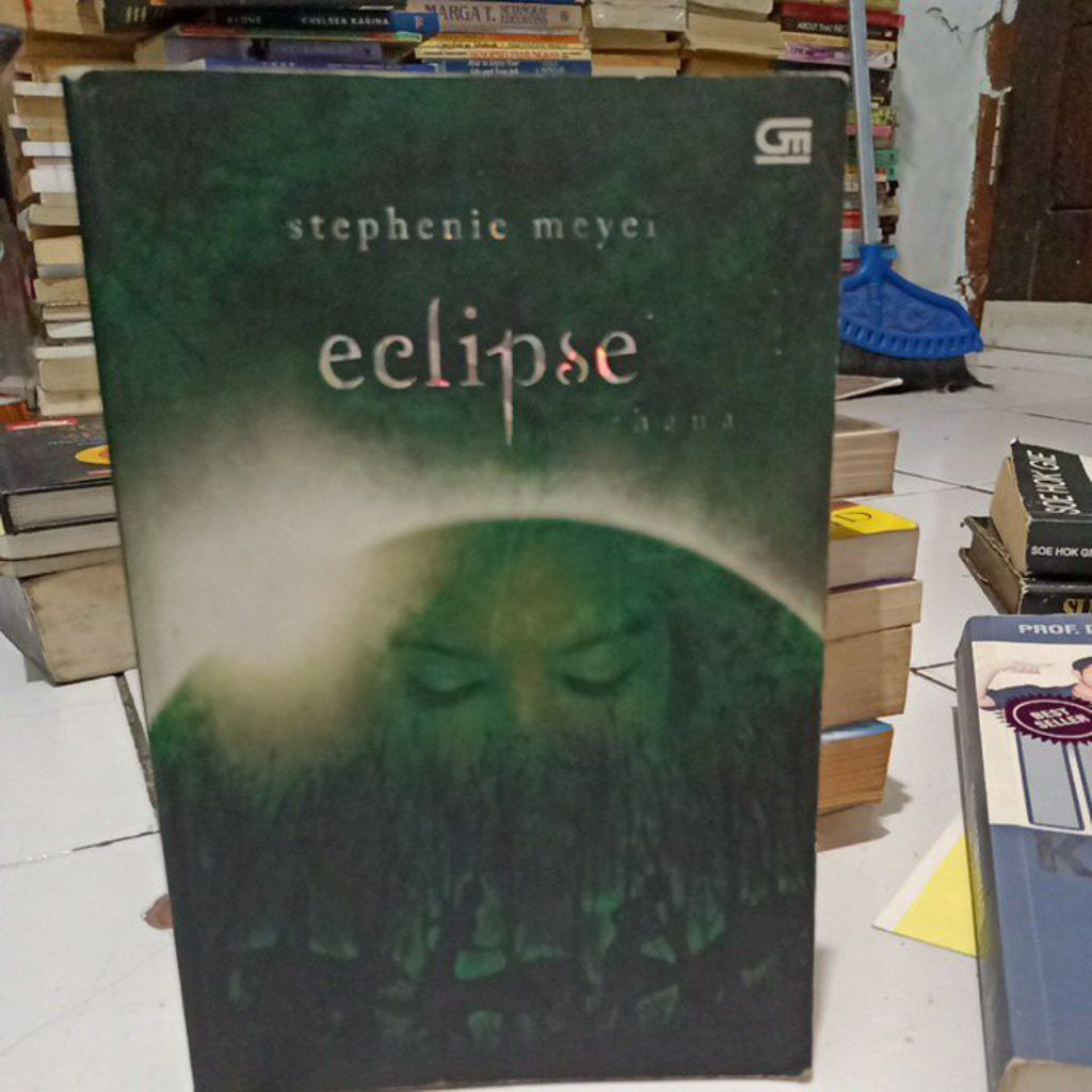 นวนิยาย ellipse stephenie meyer