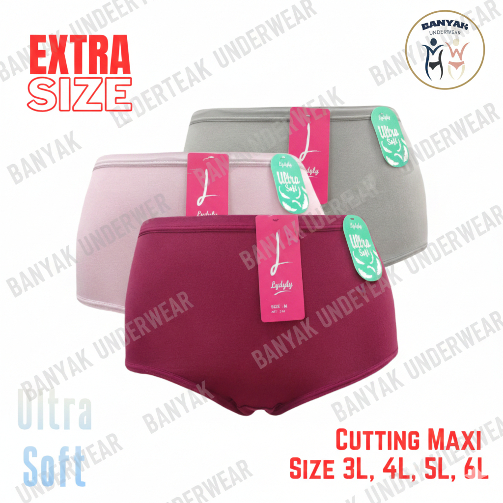 KATUN Lydyly Womens CD Extra Size Jumbo Super Soft YN248 Cotton Spandex 3 & 6 ชิ้นขนาด ML XL XXL 3L 