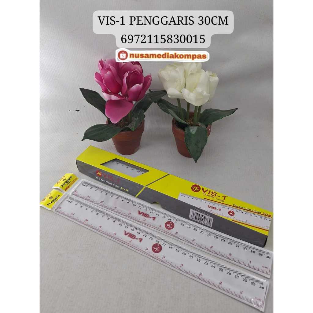 VIS-1 RULER 30CM****