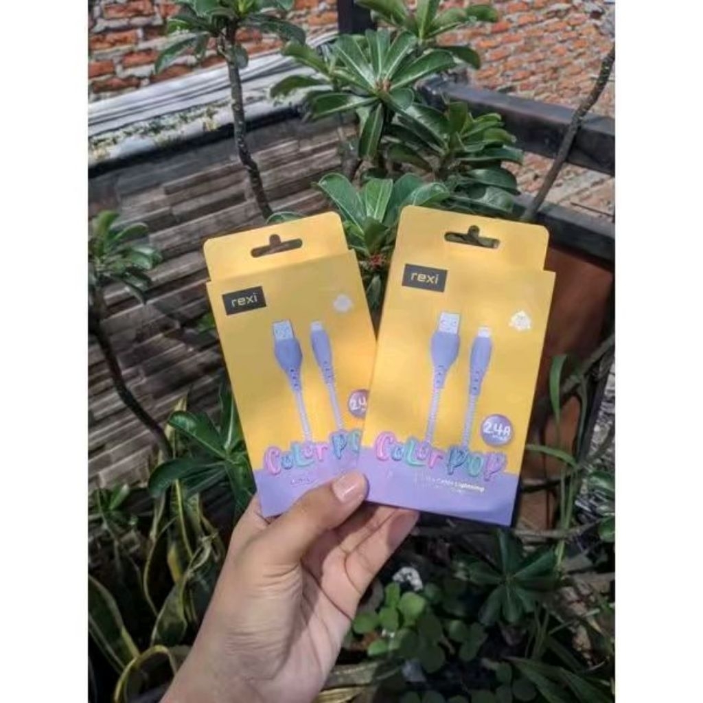 REXI Ti30-L//Ki01-L double press & fast charge 2.4A data cable