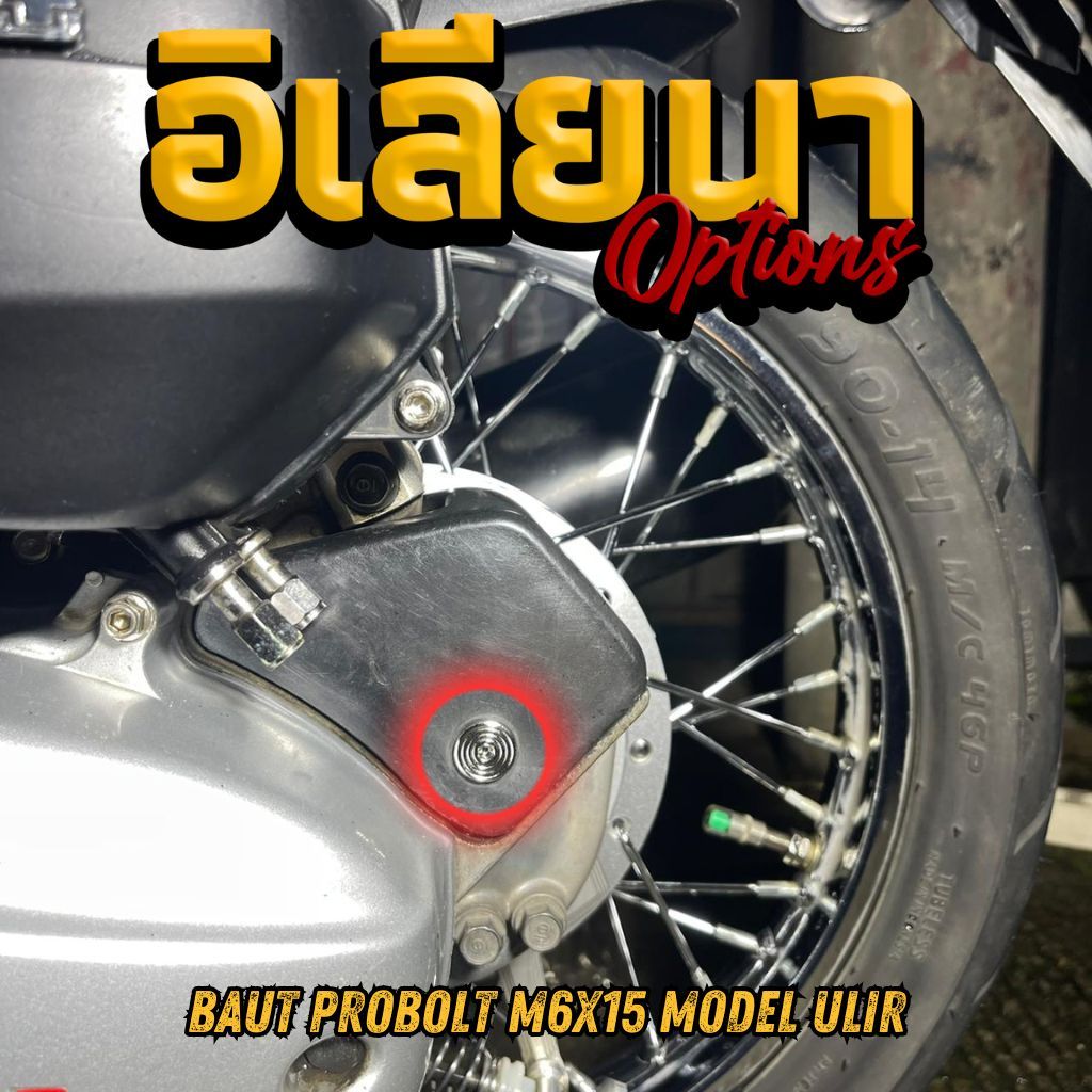 Probolt Bolts M6x15 Thread Model All Motorcycle Variants Unit Price (1 ชิ้น)