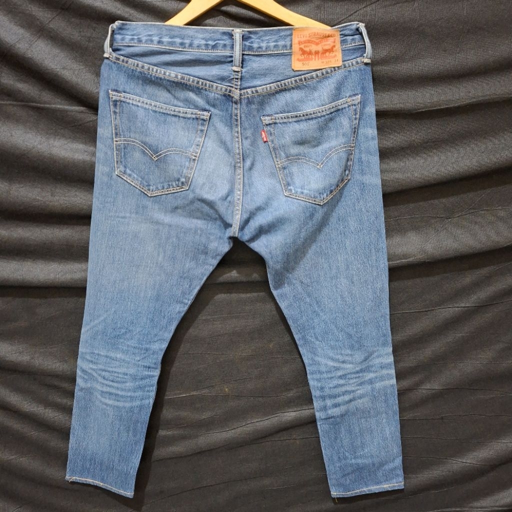 แมลงวันปุ่ม L3v1s 501, l3vis 501