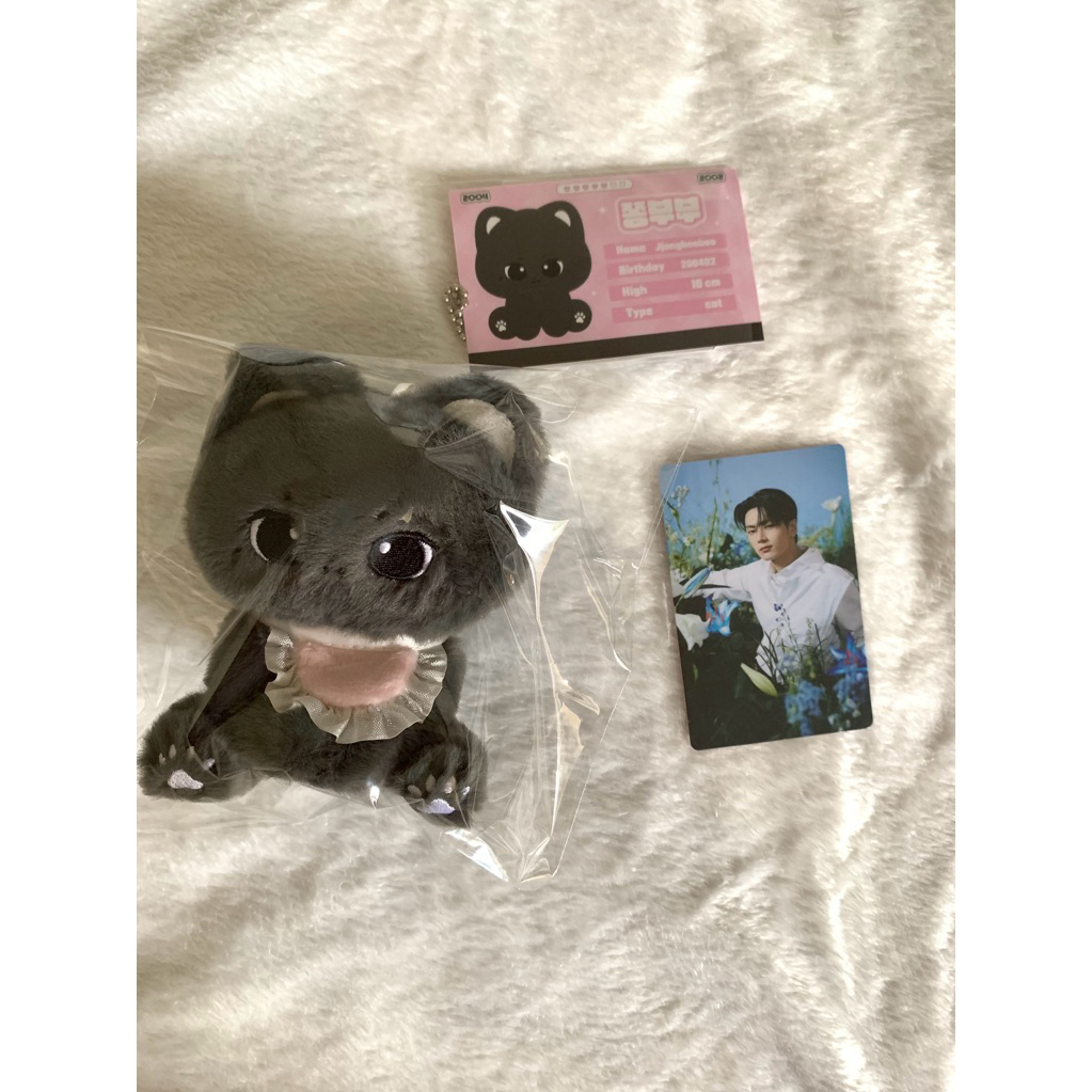 ตุ๊กตา Enhypen jay 10ซม. jjongboo