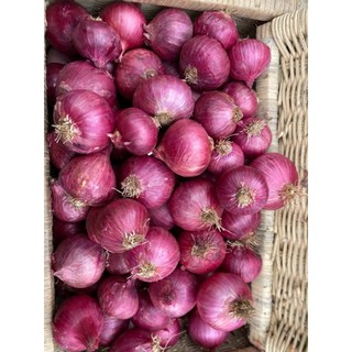 BAWANG MERAH INDIA SUPER BESAR 700gr