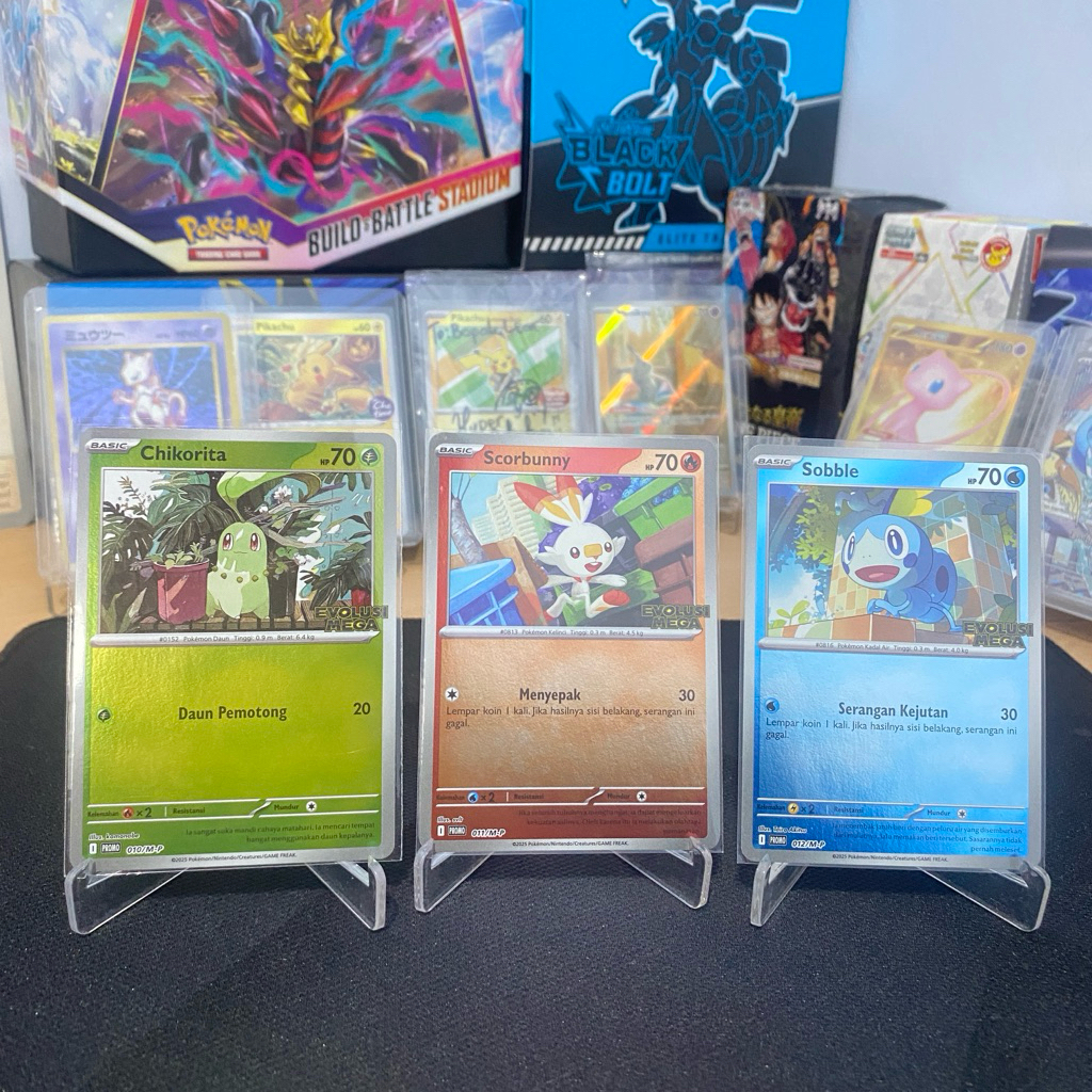 ชุดการ์ด Mega Chikorita Evolution 3 ใบ • Scorbunny • Sobble 010/011/012/SV-P TCG Indonesia 2025